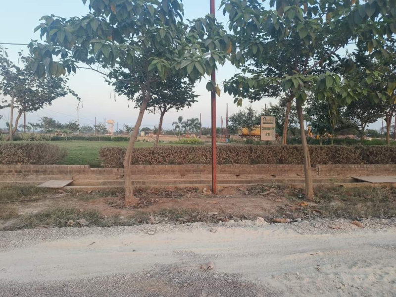  Residential Plot 785 Sq.ft. for Sale in Amleshwar, Raipur