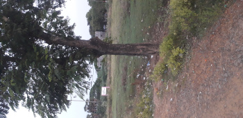  Commercial Land for Sale in Chidambaram, Cuddalore