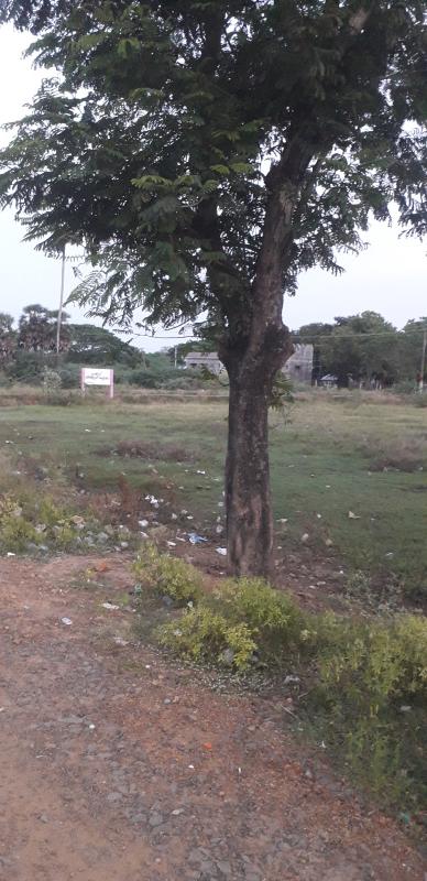  3123 Sq.ft. Commercial Land for Sale in Chidambaram, Cuddalore