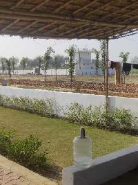  Residential Plot for Sale in Jewar, Gautam Buddha Nagar