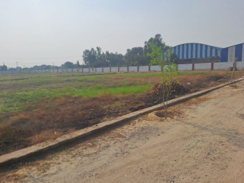  Residential Plot for Sale in Jattari, Aligarh