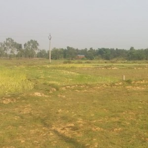 Industrial Land 3 Ares for Sale in