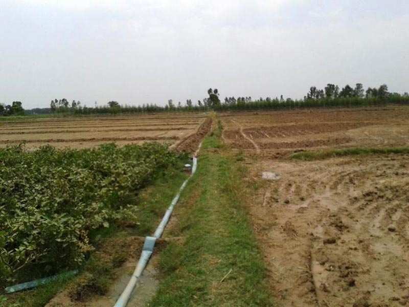 Agricultural Land 8 Acre for Rent in Pataudi, Gurgaon