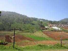  Commercial Land for Sale in Bilha, Bilaspur