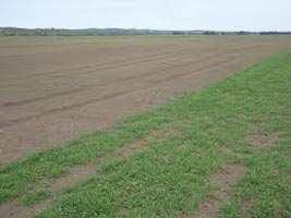  Commercial Land for Sale in Champa, Janjgir-Champa