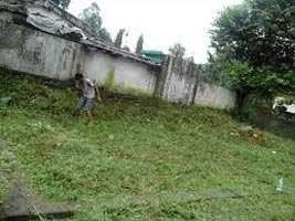  Residential Plot for Sale in Champa, Janjgir-Champa