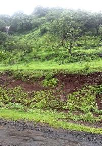  Agricultural Land for Sale in Panshet, Pune