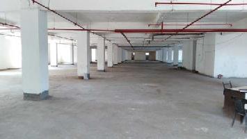  Factory for Rent in Sector 80 Noida