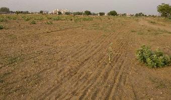  Commercial Land for Sale in Clement Town, Dehradun
