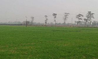  Agricultural Land for Sale in Ferozepur Road, Ludhiana