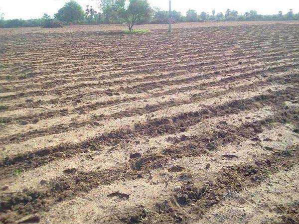 Agricultural Land 2 Bigha for Sale in Bithoor, Kanpur