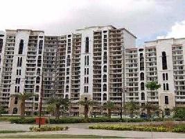 3 BHK Flat for Sale in Sector 86 Gurgaon