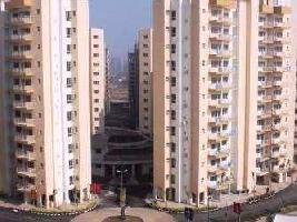 4 BHK Flat for Rent in DLF Phase V, Gurgaon