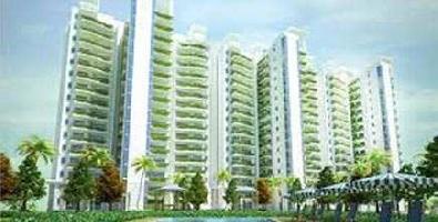 4 BHK Builder Floor for Rent in Sector 54 Gurgaon