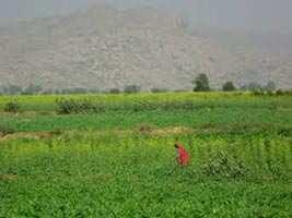  Agricultural Land for Sale in Neemrana, Alwar