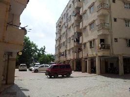 1 BHK Flat for Rent in Prahlad Nagar, Ahmedabad