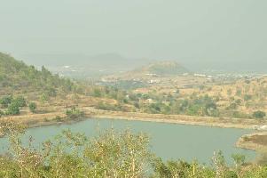  Agricultural Land for Sale in Mulshi, Pune