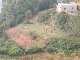  Agricultural Land for Sale in Poondi, Kodaikanal