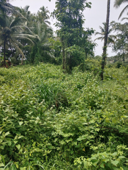 Residential Plot for Sale in Chandor, Goa