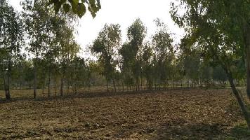  Commercial Land for Sale in Moradabad, Moradabad