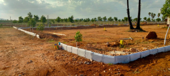  Residential Plot for Sale in Pipalsana, Moradabad