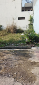  Residential Plot for Sale in Wave Greens, Moradabad