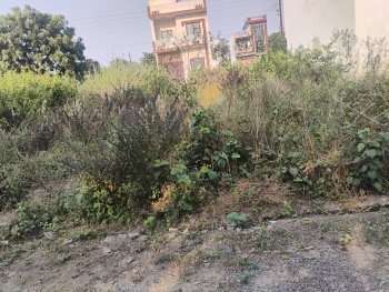  Residential Plot for Sale in New Moradabad