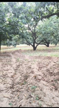  Agricultural Land for Sale in Harpal Nagar, Moradabad