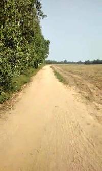  Agricultural Land for Sale in Mundha Pande, Moradabad