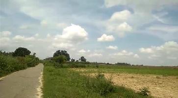  Agricultural Land for Sale in Shahabad, Rampur