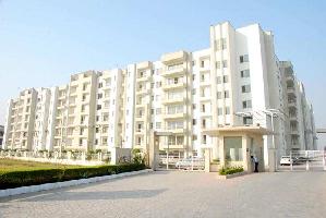 1 BHK Flat for Sale in Sector 115 Mohali