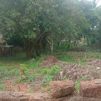  Commercial Land for Rent in Sequeira Vaddo, Candolim, Goa