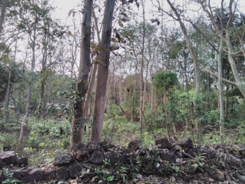  Residential Plot for Sale in Salvador Do Mundo, Bardez, Goa