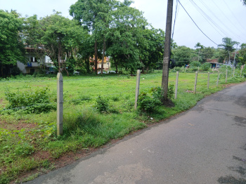  Residential Plot for Sale in Socorro, North Goa, 