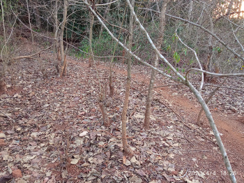  Residential Plot for Sale in Bastora, Goa