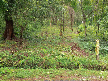  Residential Plot for Sale in Sangolda, Goa