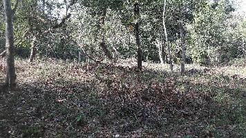  Residential Plot for Sale in Siolim, Bardez, Goa
