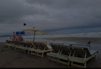  Hotels for Rent in Morjim, Goa