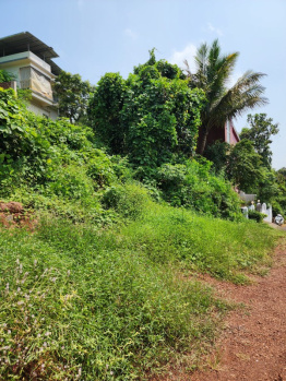  Residential Plot for Sale in Bambolim, North Goa, 