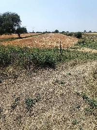  Agricultural Land for Sale in Asrawad Khurd, Indore