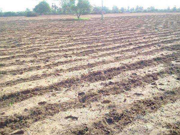 Agricultural Land 8 Bigha for Sale in Bithoor, Kanpur