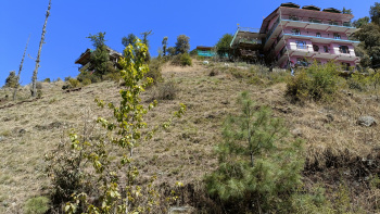  Residential Plot for Sale in Mashobra, Shimla
