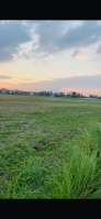  Agricultural Land for Sale in Farrukhnagar, Gurgaon