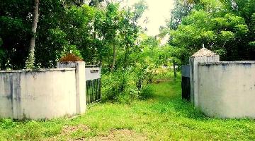  Residential Plot for Sale in Cherthala, Alappuzha