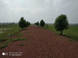  Residential Plot for Sale in Udayagiri, Nellore