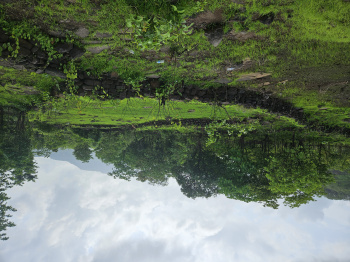  Agricultural Land for Sale in Mangaon, Raigad