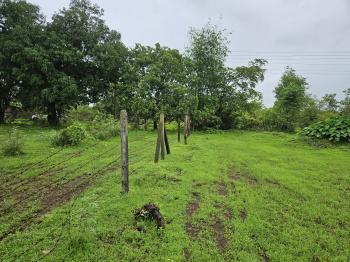  Agricultural Land for Sale in Roha, Raigad