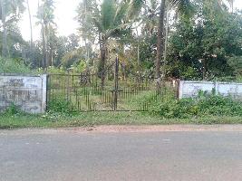  Residential Plot for Sale in Puthukkad, Thrissur