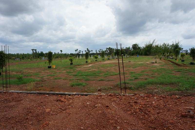 Residential Plot 90 Sq. Yards for Sale in
