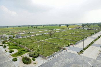  Agricultural Land for Sale in Rancharda, Ahmedabad